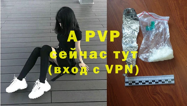 ГАЛЛЮЦИНОГЕННЫЕ ГРИБЫ Беломорск