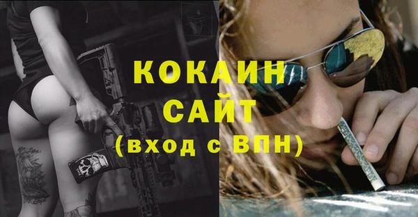 ГАЛЛЮЦИНОГЕННЫЕ ГРИБЫ Беломорск