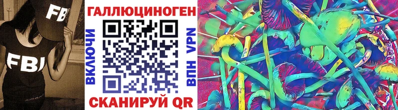МЕГА ONION Бердск Галлюциногенные грибы MAGIC MUSHROOMS